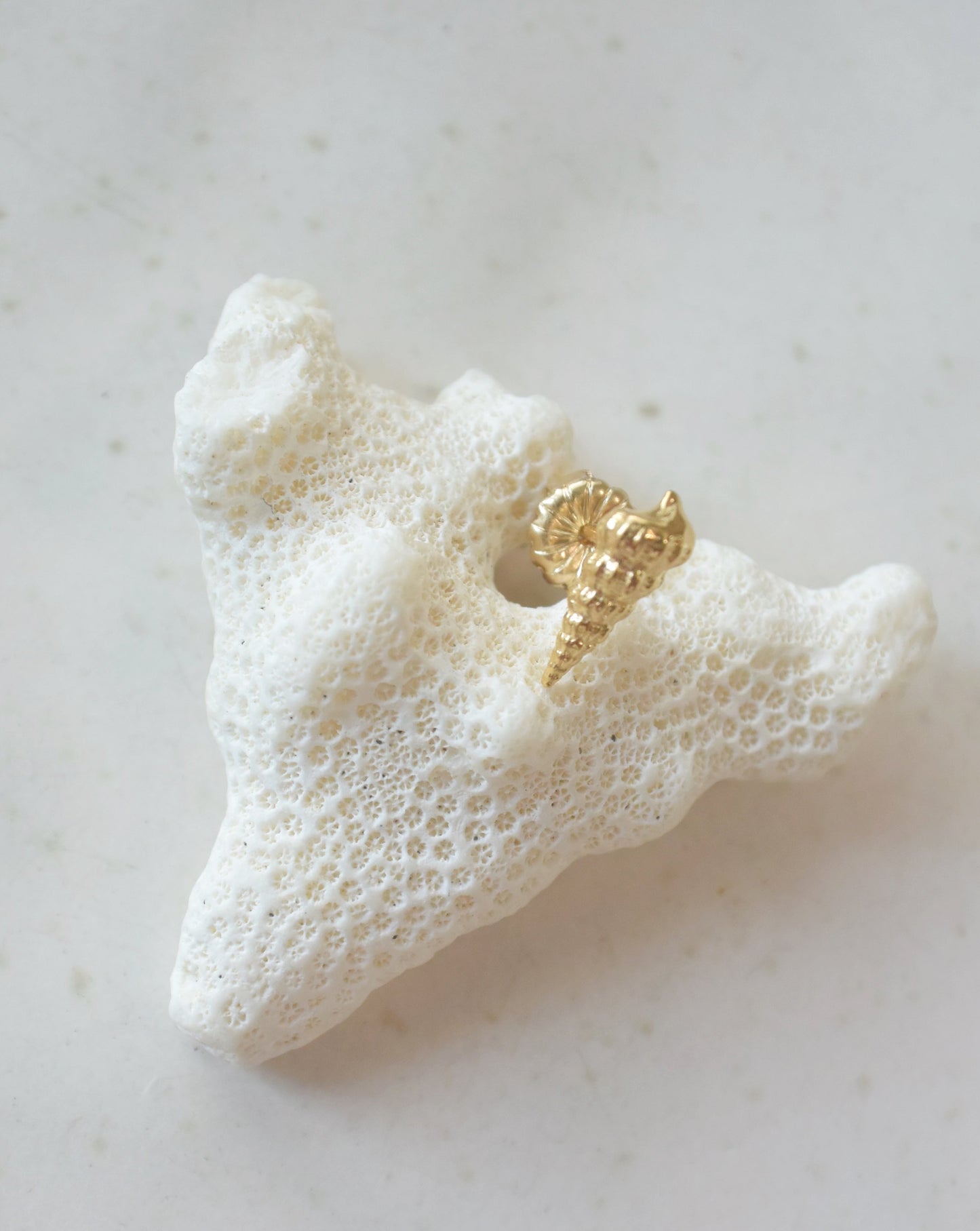 K18pt〈Cast of real ocaen〉Stud earring | ピアス