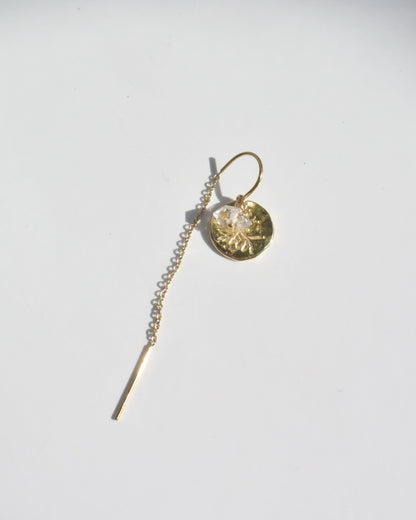 〈Flower lei coin〉Earrings